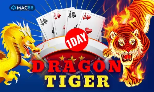 Dragon Tiger One Day